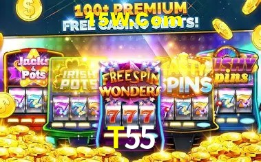 Login Seguro T55