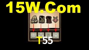 Programa VIP T55
